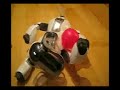 Sony Aibo... Best Bits