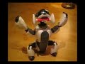 Eric's Best Bits, enjoy :) This is just a small selection of things Eric gets up to, he does new things everyday.