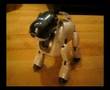Sony Aibo... Best Bits