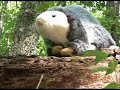 The Possum Hunter I