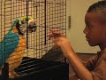 Obama '08 skit