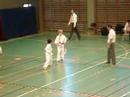 Karate fighting
