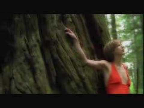 Beth Orton: Concrete Sky (Album: Daybreaker 2002, promotional video)