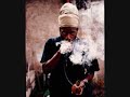 capleton - guerilla warfare