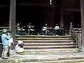 mishka live @kamakura