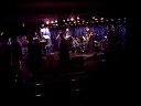 Eurodam: Leena and the HAL Cats - I WILL SURVIVE