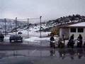 PAREA SITIA ANOGIA 2008