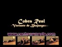 YOGA-Bhujangasana YOGA-Bhujangasana