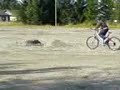 m�ns CH