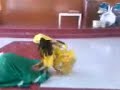 PTM JILA DANCE PRESENTATION