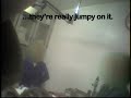 Cruelty to Cats at Univ. of Colorado at Denver