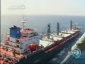 Chinese naval fleet carries out first escort mission off Somalia