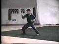Jason Yee demonstrates Nan-Quan (Southern fist) hand form