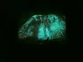the-myriad-a-clean-shot-official-music-video.html
