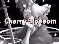 IaMP Combo Movie - Cherry Blossom (Youmu and Yuyuko)