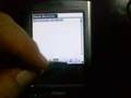 Palm Tungsten E2
