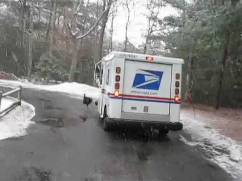 Massachusetts Mail Man - For some reason a wild turkey has been attacking a mail truck in a Centerville neighborhood. Check out this fowl footage of the mad bird in action. Ethel Ken...