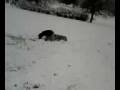 eric snow fall.3g2