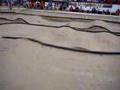 Hot Rod Shootout 2wd A3