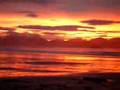 videos de Alba a Tofino