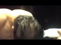 Alex's new hair cut