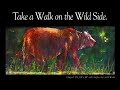 walkonthewildside walkonthewildside