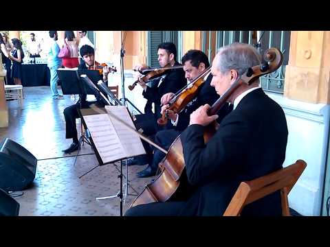 Cuarteto de cuerdas para recepciones