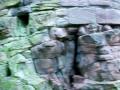 Bothwell Castle