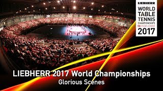 2017 World Championships I Glorious Scenes