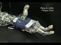 the u.s. military is building an ambitious bionic arm that is controlled by thought and provides sensory feedback. here's the latest prototype, showing the movements of the hand.