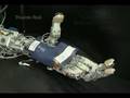 DARPA's Bionic Arm