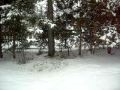 Backyard Terrain Park Setup: Phase 1