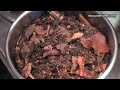 EL COCINERO FIEL # 170 - BAJO UN MANTO... (COCINA DE VANGUARDIA 7)