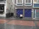 Snow on the Streets of Amsterdam Snow on the Streets of Amsterdam