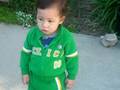 un dia verde