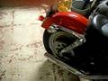 02 Harley Davidson 883 sportster