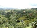 Ziplining in Kauai, HI