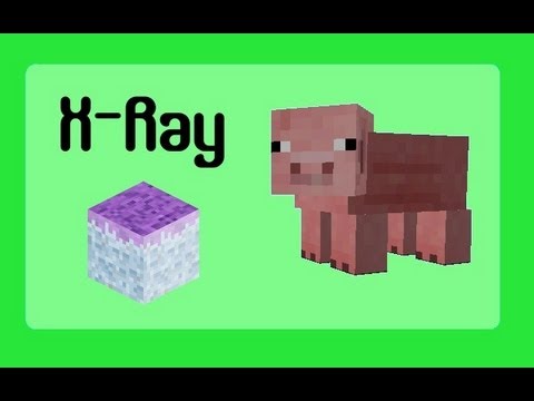 how to make a x-ray machine on minecraft