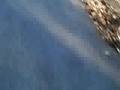videos de Mini-Dirt Bike race