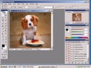 Photoshop: O que é uma Action, como carregar e salvar