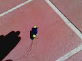 Solar insect! Solar insect!