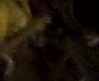 Zanzan Monster Hunter