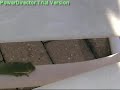 Poison Frog by Nate Poison Frog by Nate