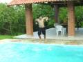 videos de Baleia azul