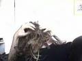 Dreadlocks...15 Months no combing