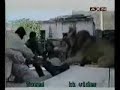 ASLANI ÇOK SEVM?YECEKS?N.YOKSA O SEN? SEVEB?L?R:) ASLANI ÇOK SEVM?YECEKS?N.YOKSA O SEN? SEVEB?L?R:)