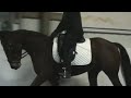 Contact Saddles / Helm Saddles