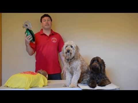 how to properly use a bvm