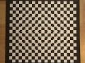 Optical Illusion: Check Your Brain!