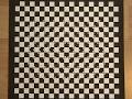 Optical Illusion: Check Your Brain!